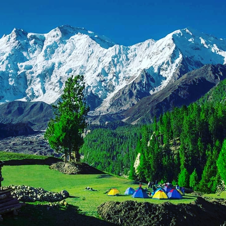 4×4 jeep on the Tattu jeep track between Raikot Bridge and Fairy Meadows.